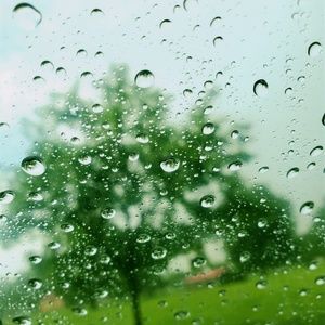 Meet your Posher, Lee